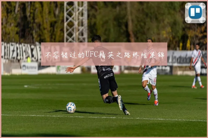 不容错过的UFC精英之路终结集锦