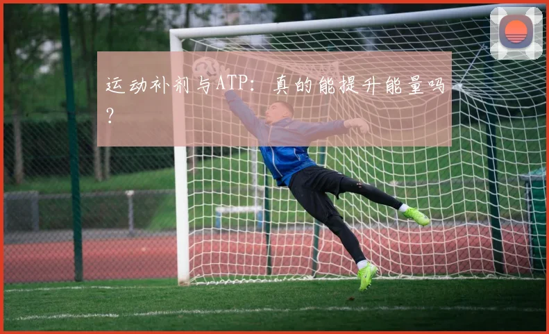 运动补剂与ATP:真的能提升能量吗?
