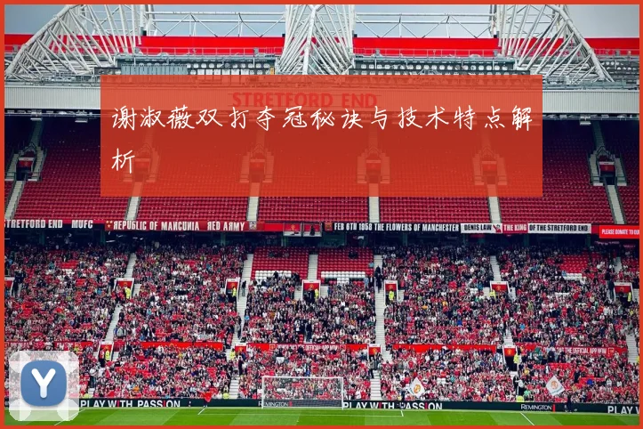 谢淑薇双打夺冠秘诀与技术特点解析