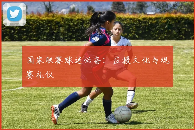 国家联赛球迷必备：应援文化与观赛礼仪