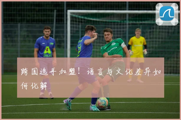 跨国选手加盟!语言与文化差异如何化解