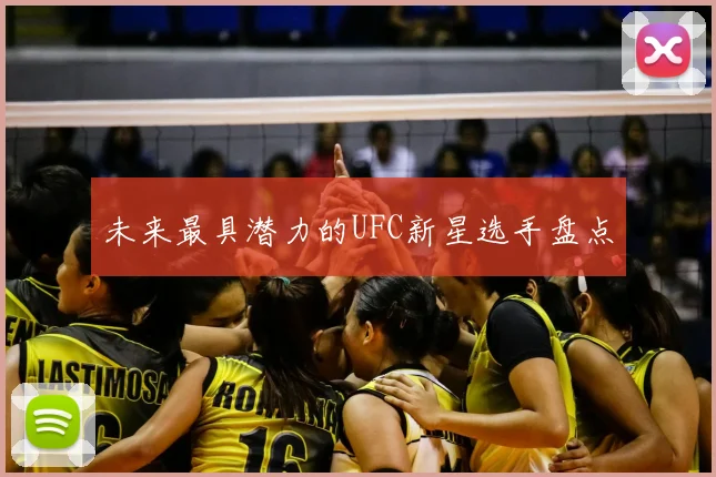 未来最具潜力的UFC新星选手盘点