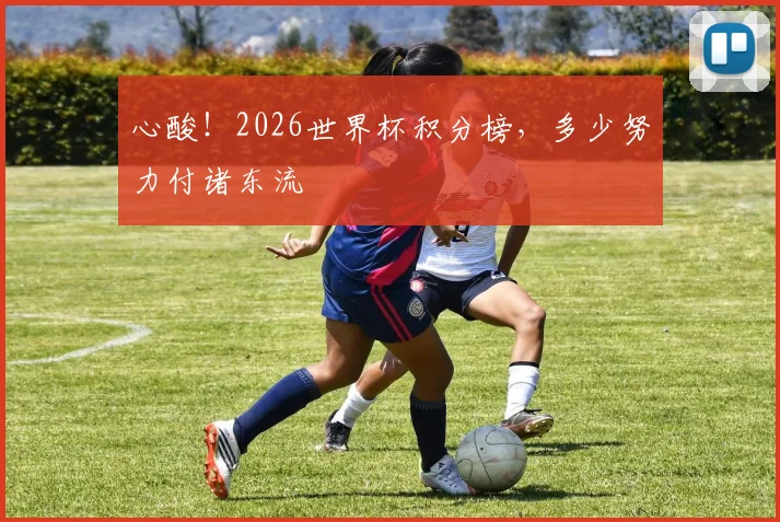 心酸！2026世界杯积分榜，多少努力付诸东流