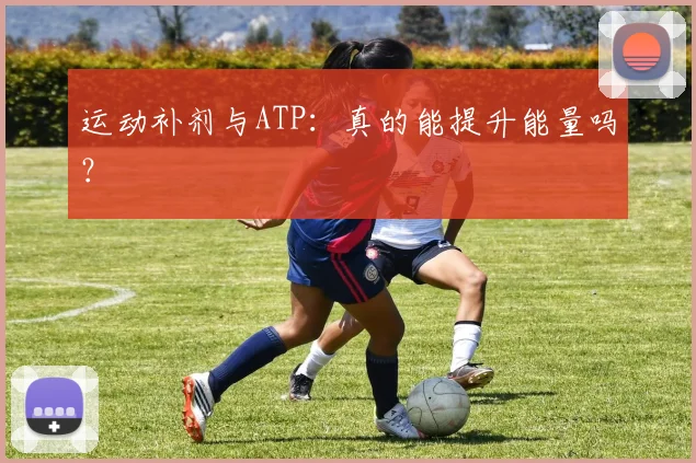 运动补剂与ATP:真的能提升能量吗?